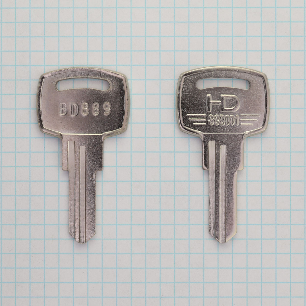 BD889 – Blue Dog Keys