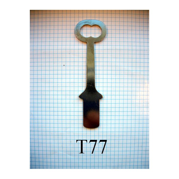 T77 Taylor