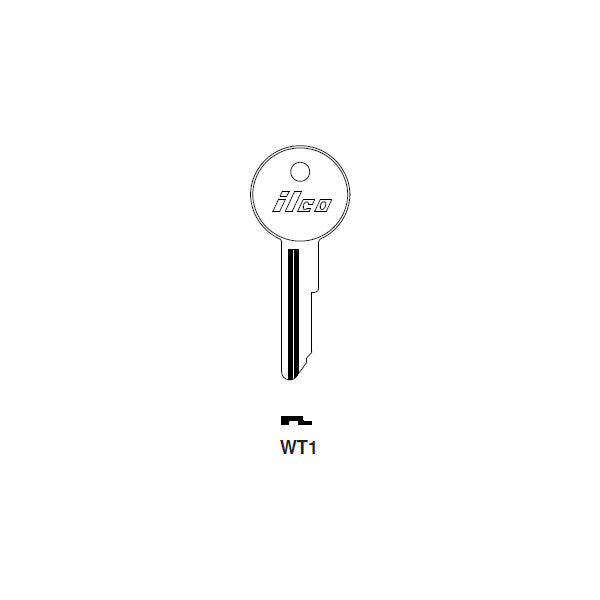 WT1