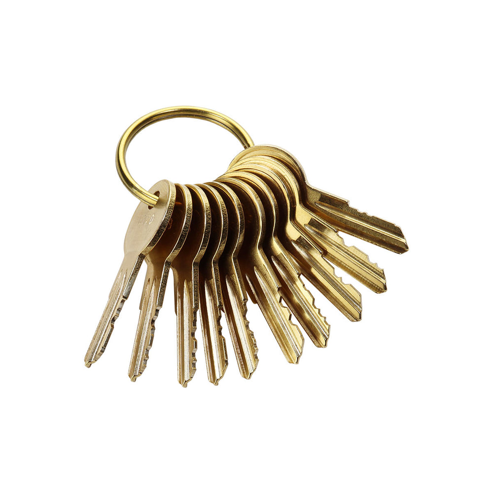 Blue Dog Keys