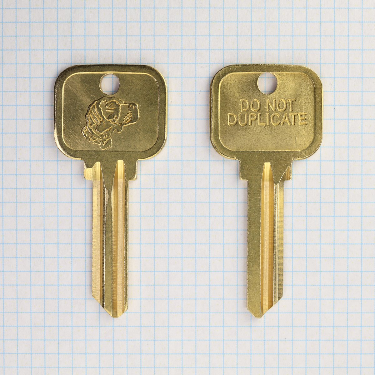Half Dog Key Restricted β Blue Dog Keys