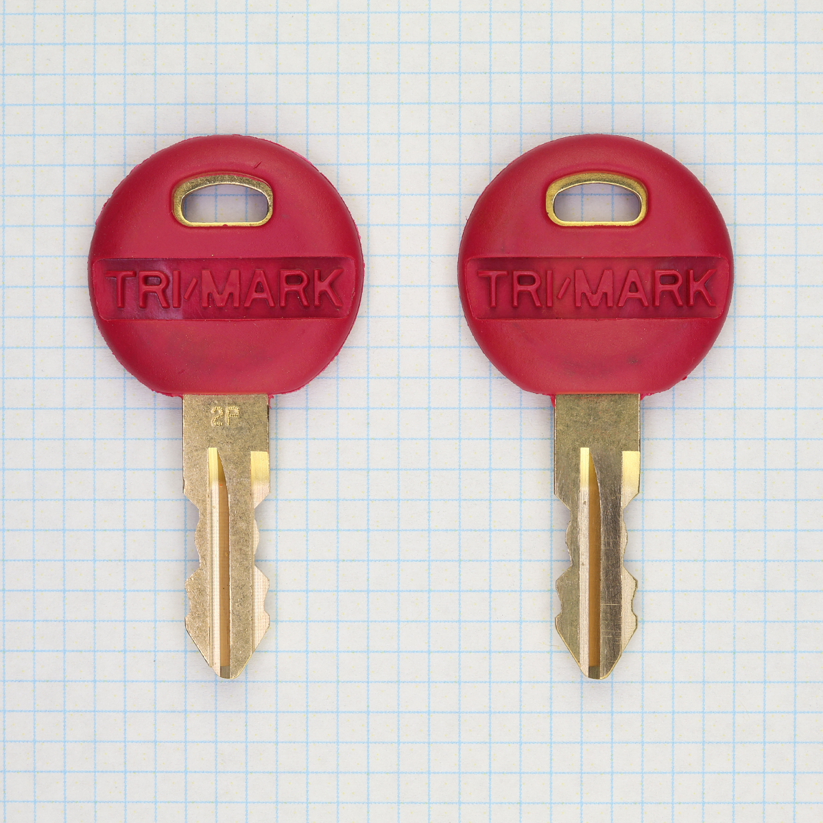 2p Machine Key 2P Master – Blue Dog Keys