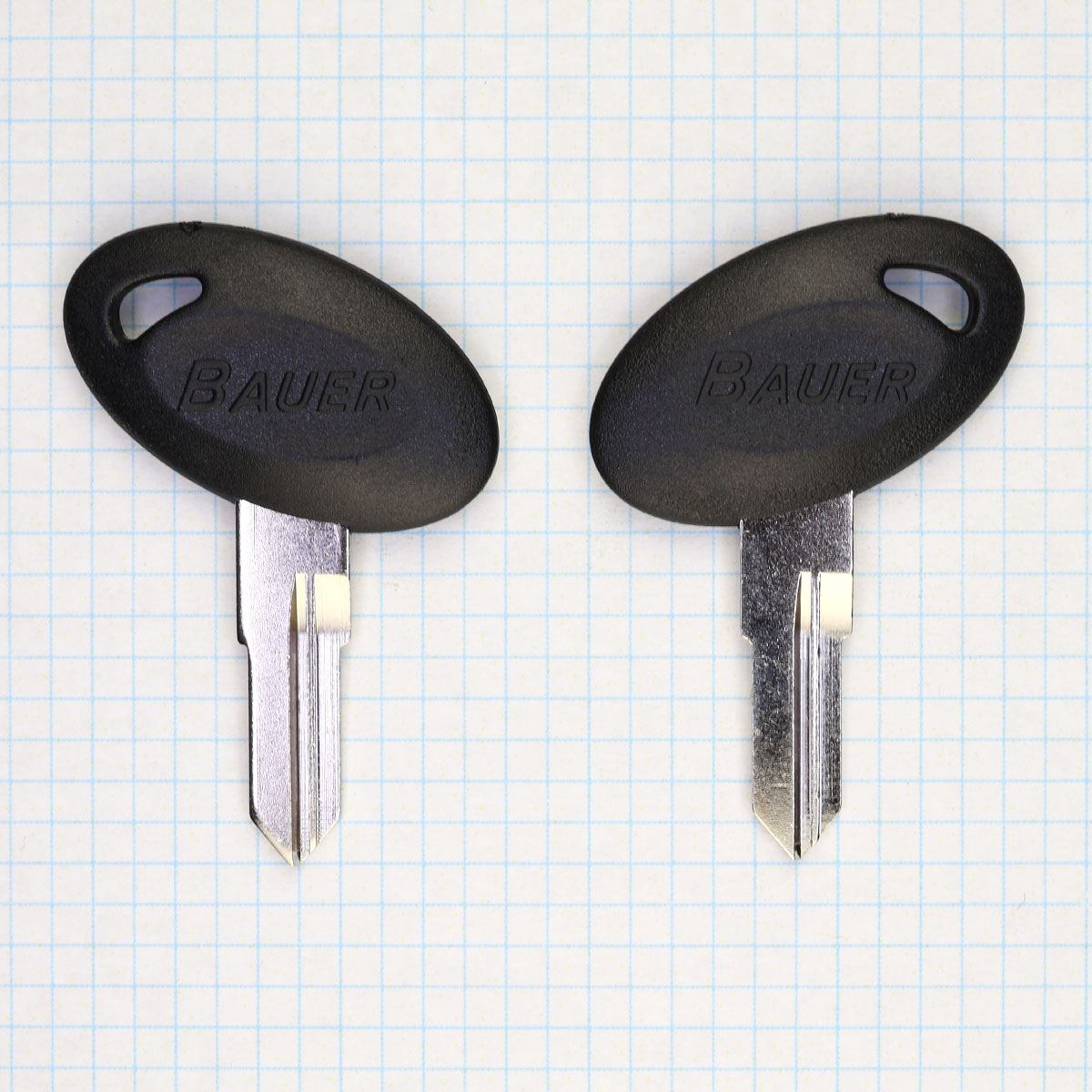 BD648 – Blue Dog Keys