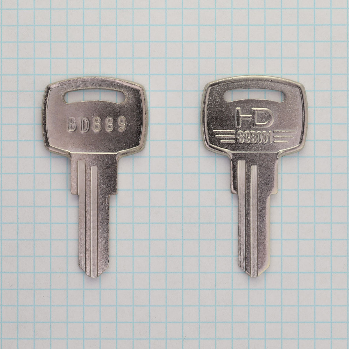 BD889 – Blue Dog Keys