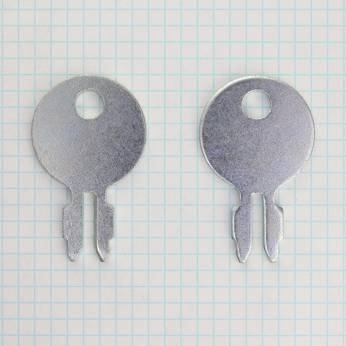 T130 Taylor – Blue Dog Keys