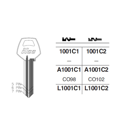 A1001C2