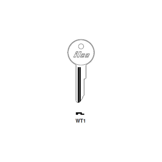 WT1